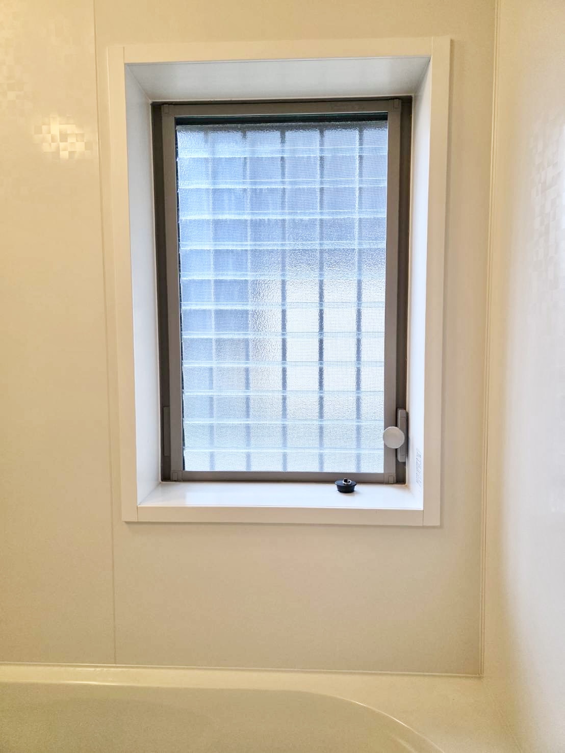 Before画像